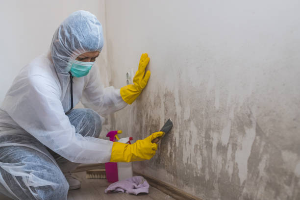 Water Damage Restoration in Needles, CA